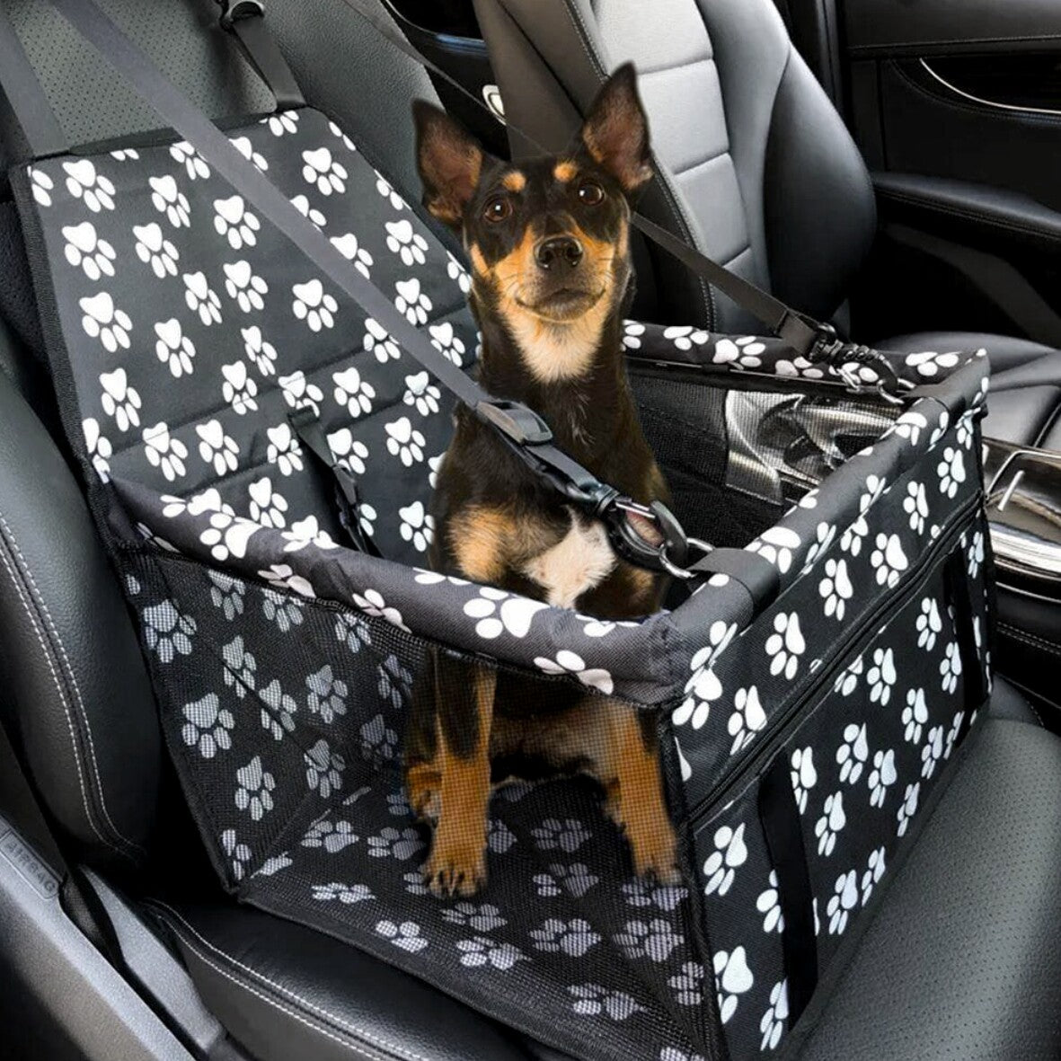 Dog Car Booster Seat