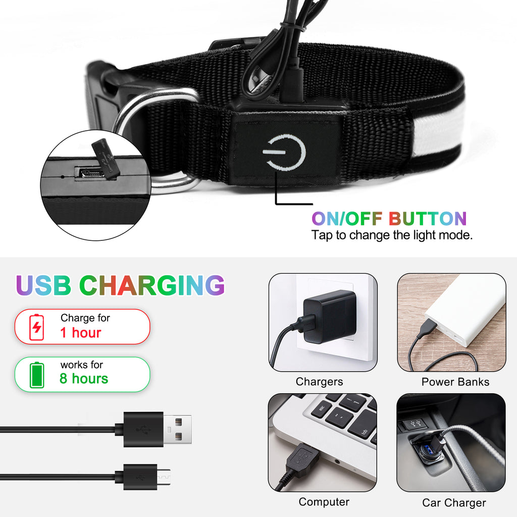 Rechargeable LED Dog Collar