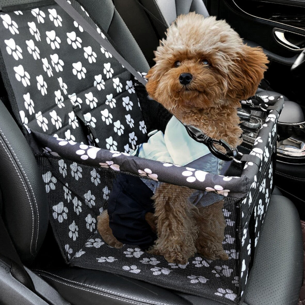 Dog Car Booster Seat