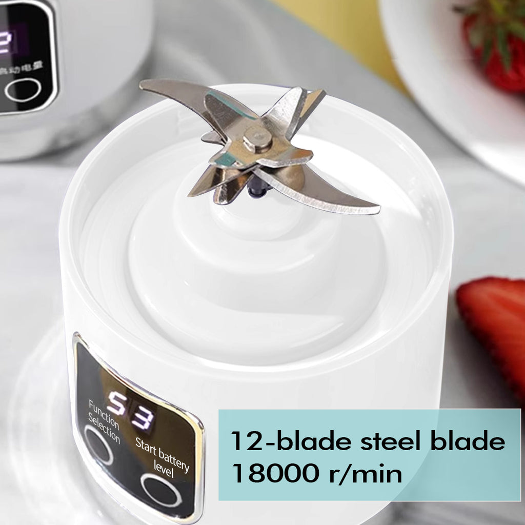 Portable USB Blender (450 ml)