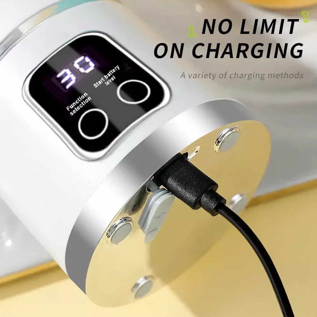 Portable USB Blender (450 ml)
